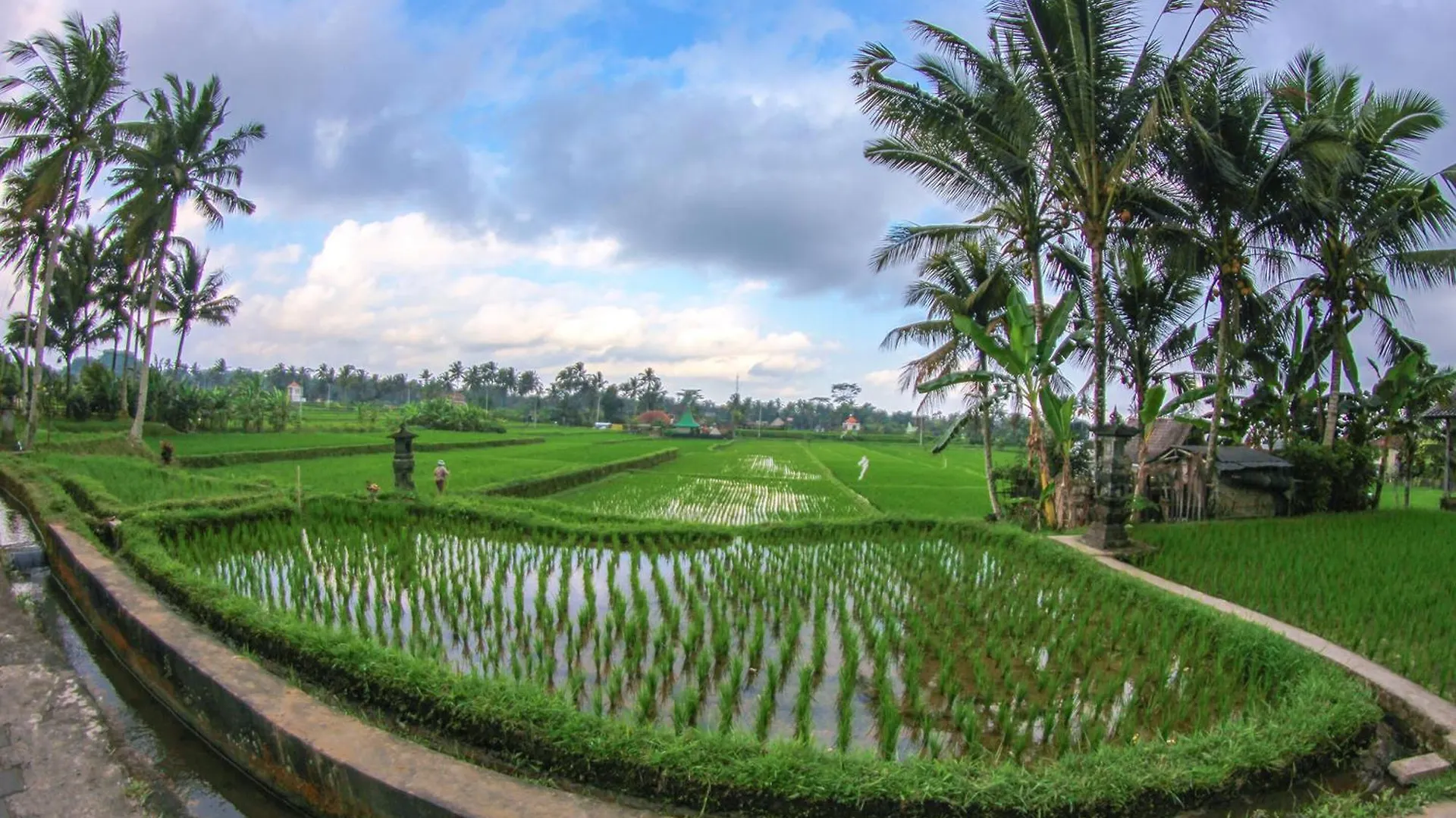 Belvilla Moksha Ceking Rice Terracenearubud Jungle Swing 0*, Ubud (Bali) Indonesia